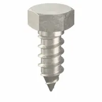 Hex Head Lag Screw: 3/8 in Size, 1 in Lg, Stainless Steel, NL-19, 10 PK (MPN FBLB381P10)