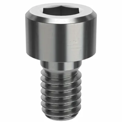 AMPG Socket Head Cap Screw: M6x1.00 Thread Size, 10 mm Lg, Std, Plain, Stainless Steel - Metric System Standard Socket Head Cap Screws
