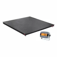 OHAUS Floor Scale: 2,500 lb Wt Capacity - Imperial, 0.5 lb/0.2 kg Readability, Floor Scale (MPN i-DF33P2500B1R)