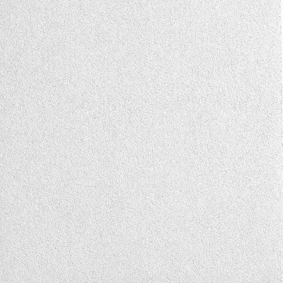ARMSTRONG Ceiling Tile: 2822NTEMP, Calla, Templok, 24 in x 24 in, Square Tegular - General Purpose Tiles