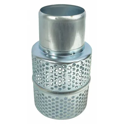 Dayton Strainer: For 1ZTA8 (MPN PP201200240G) - Pumps Parts