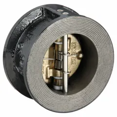 Cast iron double-door wafer check valve with 2 in pipe size. Inline valve body designed for installation between flanges. Prevents backflow in piping systems.