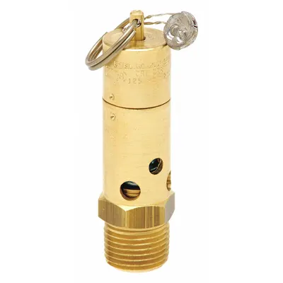 CONTROL DEVICES Air Safety Valve: Soft Seat, 1/2 in (M)NPT Inlet (In.) - Soft Seat Pneumatic Safety Valves