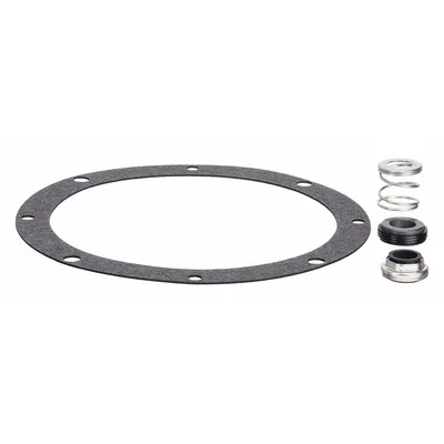 BARNES Seal Kit: Mfr Part # 107276SD-GIS - Seal Kits for Dewatering & Wastewater Pumps