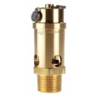 CONRADER Safety Valve: Soft Seat, 1 in (M)NPT Inlet (In.), 1 in (F)NPT Outlet (In.), Brass, Silicone (MPN SRV765-1-125 SST)
