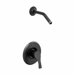 This CFG fixed shower faucet features a metal showerhead with a matte finish and a single-function spray pattern. It delivers a flow rate of 1.75 gpm. Suitable for use in residential or commercial bathrooms as a consistent showering solution.