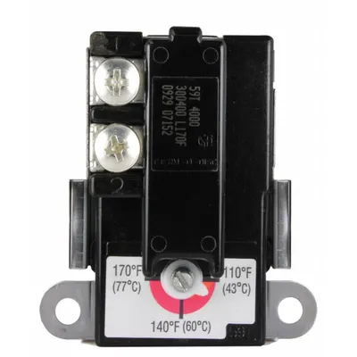 RHEEM Replacement Thermostat: Electric, SP8295 - Plumbing