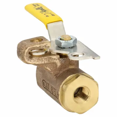 APOLLO Manual Two-Way Ball Valve: 1/4 in, Bronze, Straight, FNPT x FNPT - Bronze Ball Valves with Drain