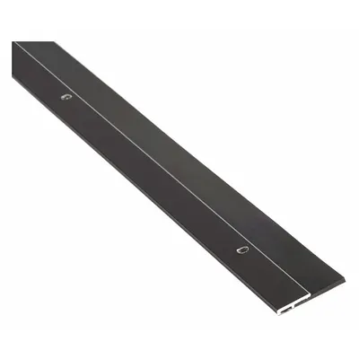 NATIONAL GUARD Door Sweep: Single Fin Insert, Aluminum, 48 in Lg, 1 3/4 in Wd - Door Sweeps