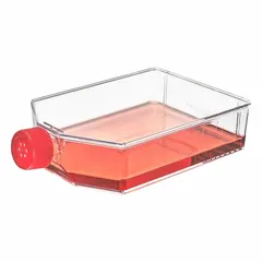 Plastic Cell Culture Flask, Polystyrene, 200 mL, Sterile, Graduated, with Closure