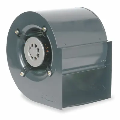 Dayton Blower with Motor: 11 in Wheel Dia, Direct Drive, 3/4 hp, 115V AC, 1 Ph - Direct-Drive Blowers with Drive