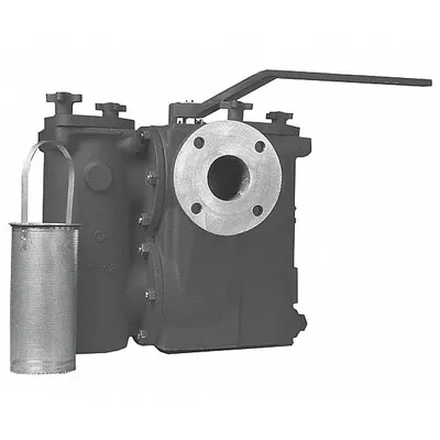 Watts Basket Strainer: Cast Iron, 0.062 in Screen Size, Dual, NPT, 1 1/4 in - Cast Iron Basket Strainers