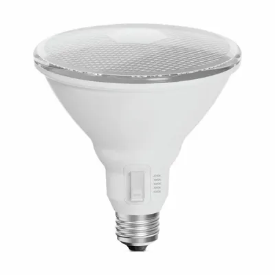 FEIT ELECTRIC Bulb, 3000 Lumen,: LED, PAR38, Medium Screw (E26), 33.3 W Watt, Clear - Parabolic Aluminized Reflector (PAR) Lamps
