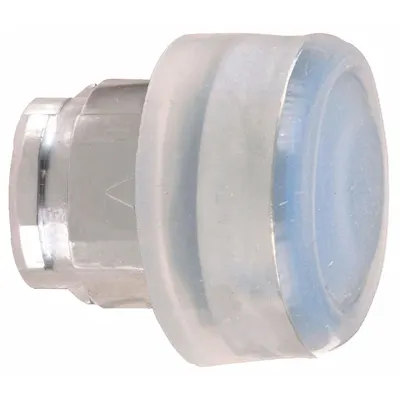 SCHNEIDER Flush Push Button: Blue, 22 mm Mounting Size, Metallic - Flush-Mount & Recessed Push-Button Operators