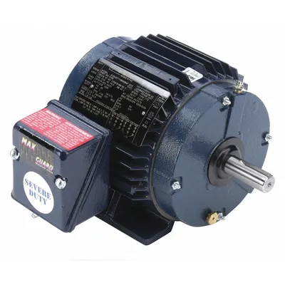 LEESON Severe Duty Motor: Rigid Base Mount, Totally Enclosed Non-Ventilated, 1 hp - Rigid Base 3-Phase General Purpose AC Motors