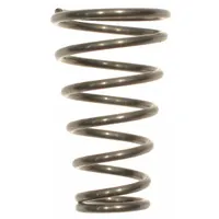 SPEEDAIRE Reverse Spring: Mfr Part # TT126324G