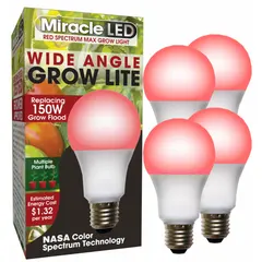 This A19-shaped LED grow bulb operates at 120V and provides a full/broad spectrum tailored for flowering plant growth. With a 150W incandescent watt equivalency, it supports photosynthesis in indoor horticulture settings such as greenhouses, grow tents, and indoor gardens.