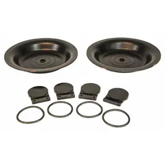 This fluid-end repair kit is designed for rebuilding the fluid end of industrial diaphragm pumps. It includes Buna-N seals and components, providing resistance to petroleum oils, water, and hydraulic fluids at moderate temperatures. Suitable for use in water, chemical, or oil transfer systems in manufacturing, processing, and utility plants.