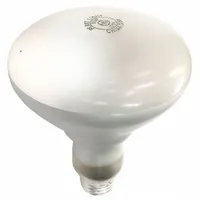 Heat Lamp: 2403-TC, EN6A1X-X, 31EV88