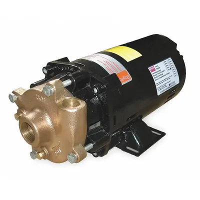 Dayton Centrifugal Pump: 3/4 hp, 230/460V AC, 50 ft Max Head, 1 1/4 in, 1 in Intake and Disch - 1/4 to 3/4 HP Straight Centrifugal Pumps