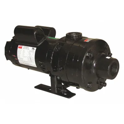 Dayton Booster Pump: 1 hp, Single Phase, 115/230V AC, 29 gpm Best Efficiency Flow - Horizontal Booster Pumps