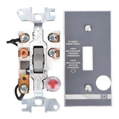 SQUARE D Manual Motor Starter: Non-Reversing, 2 Poles, 16 A, Thermal Protection - Non-Reversing Starters with Thermal Overloads