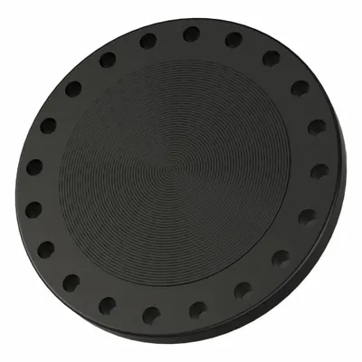 OEM Metal Pipe Flange: 12 in - Blind Iron Pipe Flanges