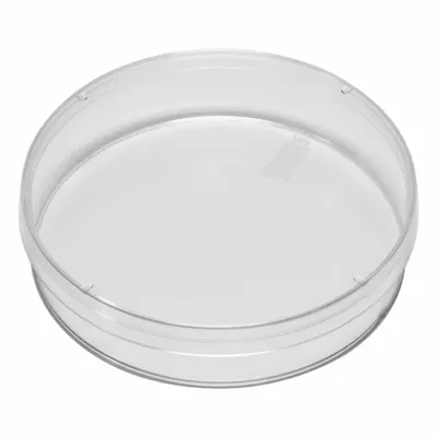 QORPAK Petri Dish: 99.82 mm Dia, 19.81 mm Overall Ht, No Surface Treatment - Petri Dishes