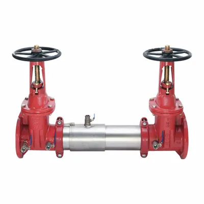 Watts Double Check Valve Assembly: 757, 2 1/2 in Pipe Size, Flange x Flange - Watts Double Check Backflow Preventers