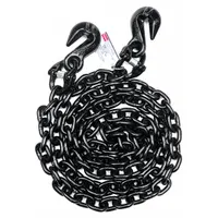 DAYTON Chain Sling: 3/8 in Chain Trade Size, 80 Chain Grade, Grab Hook, Steel, Fixed, 10 ft Sling Lg