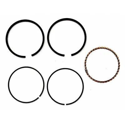 SPEEDAIRE Piston Ring Set: PN22N027G - Air Compressor Parts