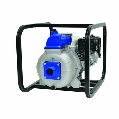 IPT PUMPS Engine Driven Pump: 5 hp, 2 in MNPT, 2 in MNPT, 1/16 in Max. Dia. Solids - High-Pressure Engine-Driven Water Pumps