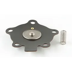 Repair kit for ASCO solenoid valves, includes diaphragm/disc assembly and compression spring. Compatible with model 8353C003V. Used for field refurbishment of internal sealing and actuation components in industrial fluid control applications.