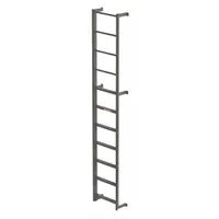 APPROVED VENDOR Fixed Ladder: 11 ft Overall Ht, 23.5 in Overall Wd, Steel, 300 lb Load Capacity (MPN MDS07)
