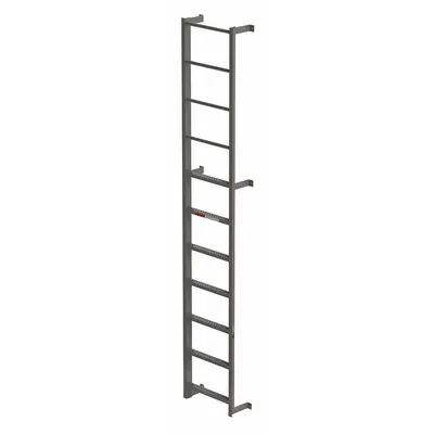 OEM Fixed Ladder: 11 ft Overall Ht - Fixed Ladders