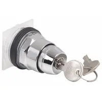 SCHNEIDER ELECTRIC Keyed Selector Switch: 2 Position, 30 mm Panel Mounting Size, Series 9001K (MPN 9001KS11K1E11)