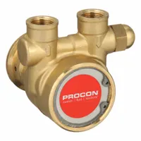 PROCON Rotary Vane Pump: Direct Drive, Brass Body, 1/2" NPT, 100 gph Max. Flow, Carbon Vanes (MPN 10597)