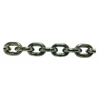 PEWAG Straight Chain: 9/32 in Trade Size, 63 Chain Grade, 316 Stainless Steel, Straight, Plain (MPN 38113/25)