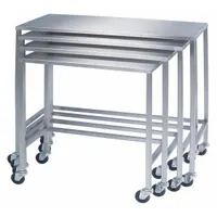 LAKESIDE Instrument Table Set,Nesting,SS: Fixed Ht, Stainless Steel, 48 in x 24 in (MPN 8389)