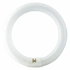 T9 circular fluorescent lamp with 12-inch diameter, 31W power consumption, and 84V AC operating voltage. Features a 4-pin G10q base and 4100K cool white color temperature. Suitable for general ambient lighting in commercial and industrial spaces such as offices, warehouses, and retail areas.