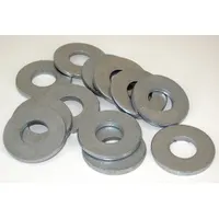 RAYTECH Washer: For Use With 23001R/23012R/24106R (MPN 03-238)