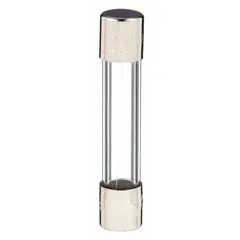 Fast-acting cylindrical fuse rated 125 mA, 250 V AC, with a 1/4 in x 1 1/4 in body. Provides overcurrent protection for sensitive circuits in control panels, power supplies, and instrumentation.