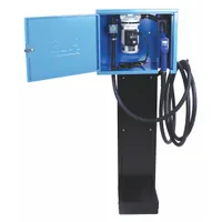 PIUSI Electric Drum Pump: 120 V AC, 2/3 hp HP, Nylon, 9 gpm Max. Flow Rate, 1 in BSP, Digital (MPN RKDEFPEDTL)