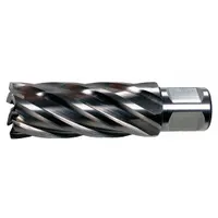 SLUGGER BY FEIN Annular Cutter: 2 in Cutter Dia, 4 in Max Cutting Dp, Bright, High Speed Steel (MPN 63134508004)