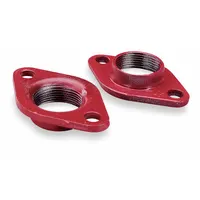 BELL & GOSSETT Flange: 1 1/2 in, 101207, Compatible with Part No. 3NVG5/4JA85/4JA86, Flange