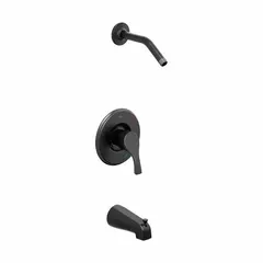 This combination unit integrates a bathtub spout and a fixed shower arm in a single black finish assembly. It delivers a fixed showerhead flow rate of 1.75 gpm, suitable for residential and light commercial bathroom installations.