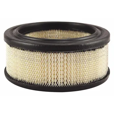 BALDWIN FILTERS Round/Oval Engine Air Filter PA2096 - Round/Oval Engine Air Filters
