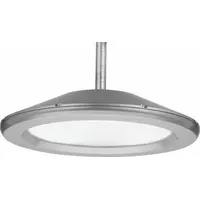 Pendant Canopy Light: LED, 3,856 lm, 4000K, 27 W Fixture Watt, 120 to 277V AC, Type V, Silver (MPN VCPGLEDV4P140K80CRIT5M MVOLT PM DNAXD U)
