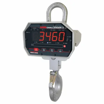 RICE LAKE WEIGHING SYSTEMS MSI-3460-250RC Crane Scale - Crane Scales