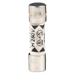 Fast-acting cylindrical fuse rated 100 mA at 250 V AC. Non-indicating, 5 mm x 20 mm form factor. Suitable for overcurrent protection in control panels, instrumentation, and power supplies where rapid response is required.